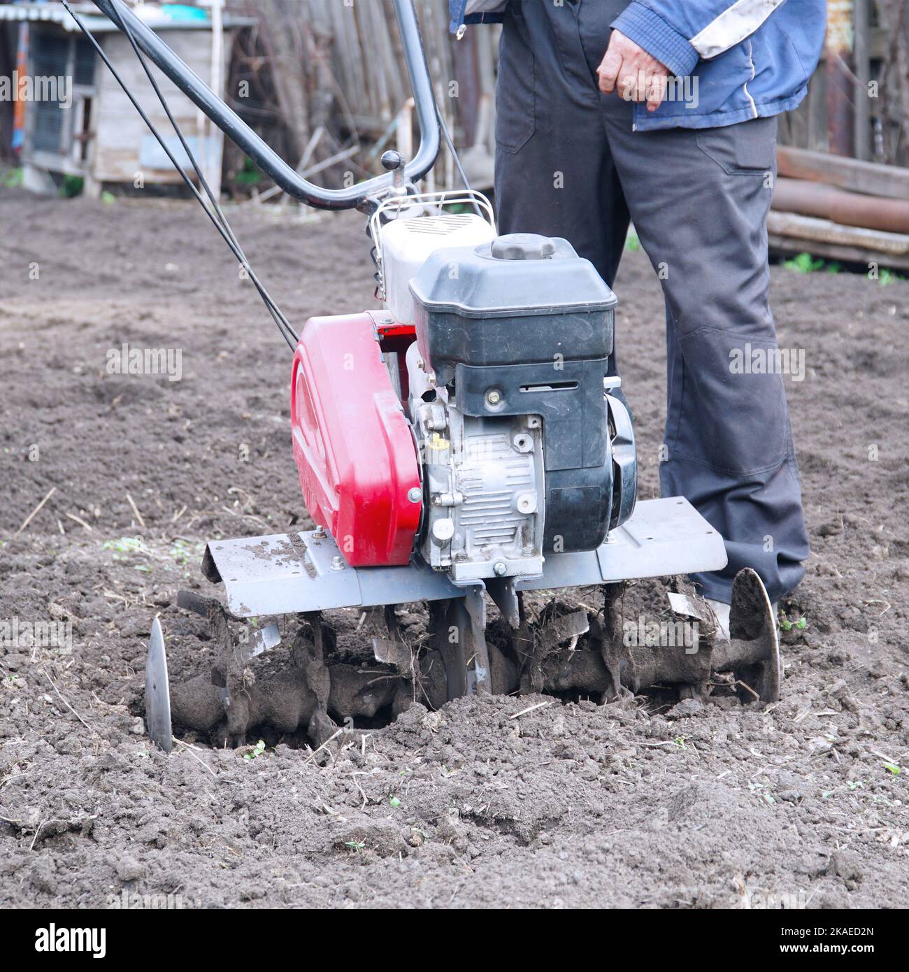 Un homme cultive le sol dans le jardin à l'aide d'un cultivateur à moteur - timon Banque D'Images