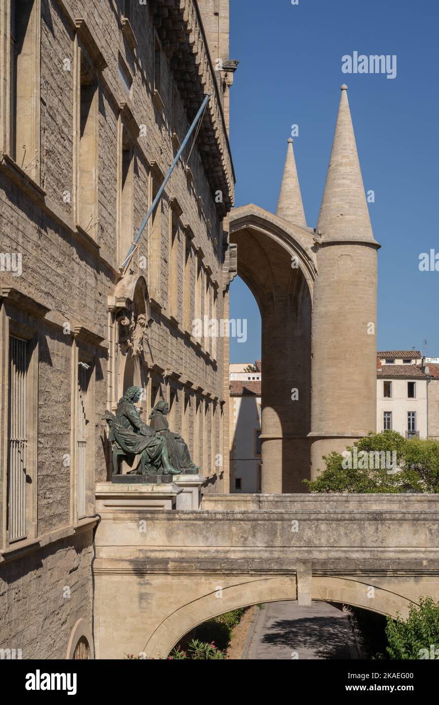 Vue latérale de l'entrée de la faculté de médecine historique avec l'ancien portail de la cathédrale Saint-Pierre lors d'un après-midi ensoleillé d'été, Montpellier, France Banque D'Images