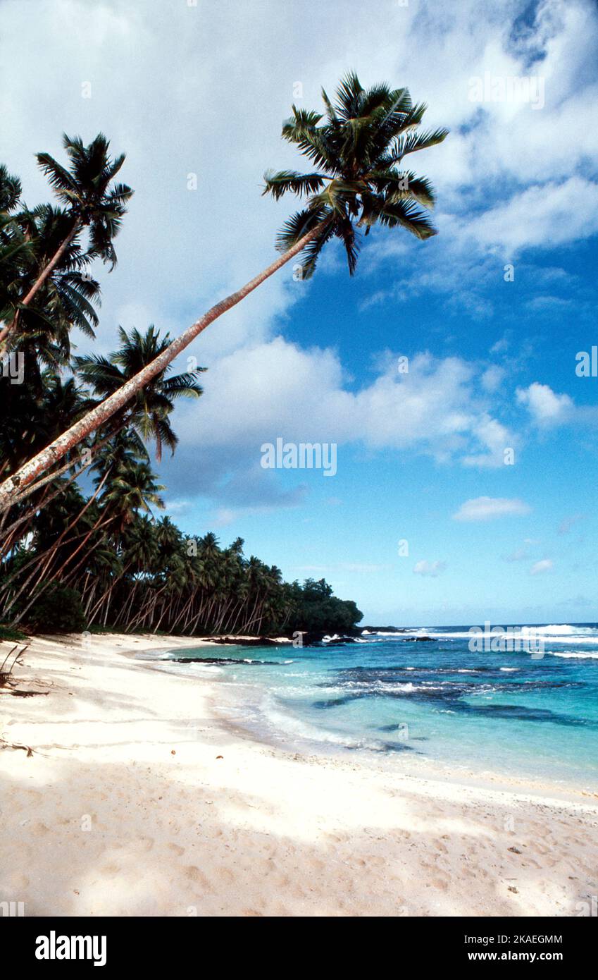 Samoa. Paradise Bay. Plage de palmiers. Banque D'Images