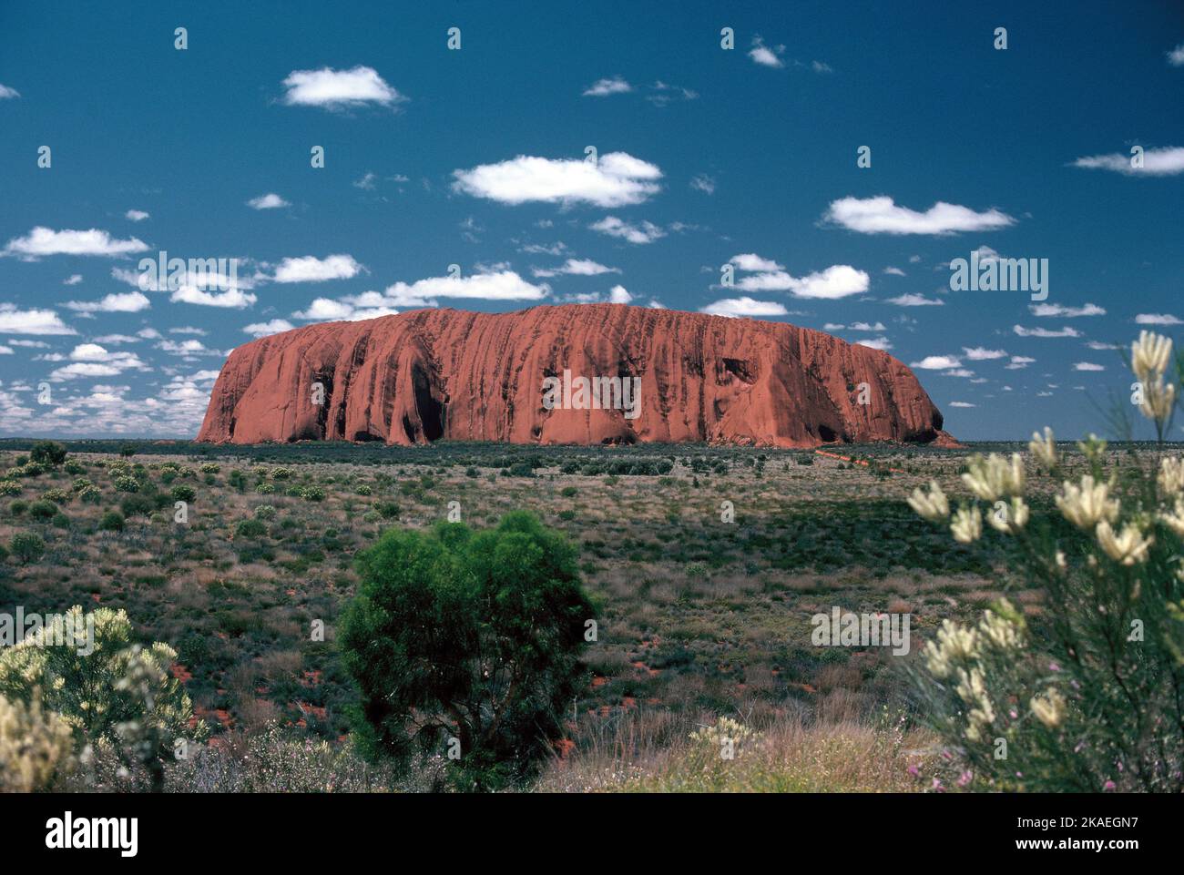 Australie.Territoire du Nord.Uluru (Ayers Rock). Banque D'Images