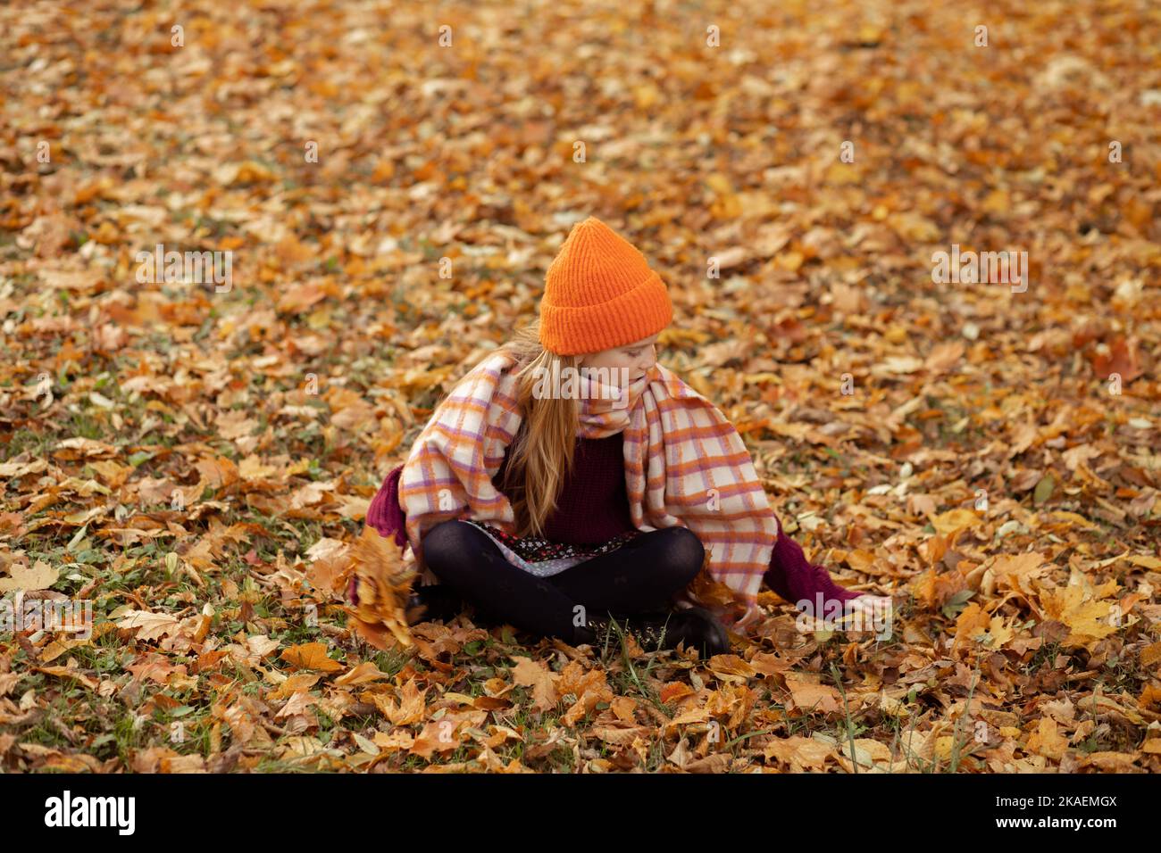 Photo horizontale de l'élégante fille d'âge scolaire dans un joli chapeau chaud, écharpe et pull confortable assis sur le sol et ramasser des feuilles jaunes sèches Banque D'Images