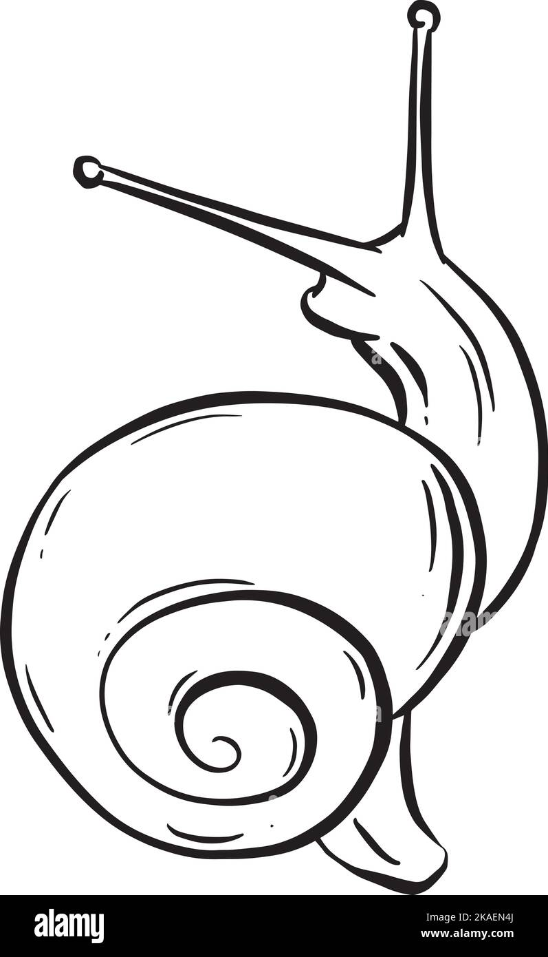 Dessin au trait Contour d'un escargot de jardin avec coque pour logo ou motif mascotte dans l'illustration vectorielle Illustration de Vecteur