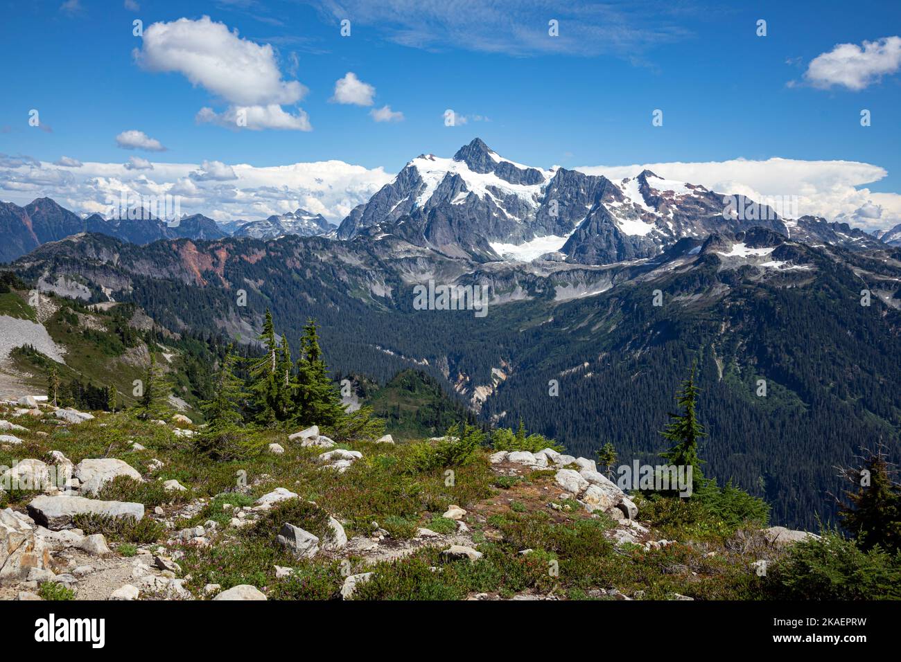 WA22686-00...WASHINGTON - Mont Shuksan vu de Ptarmigan Ridge dans la région sauvage de Mount Baker. Banque D'Images