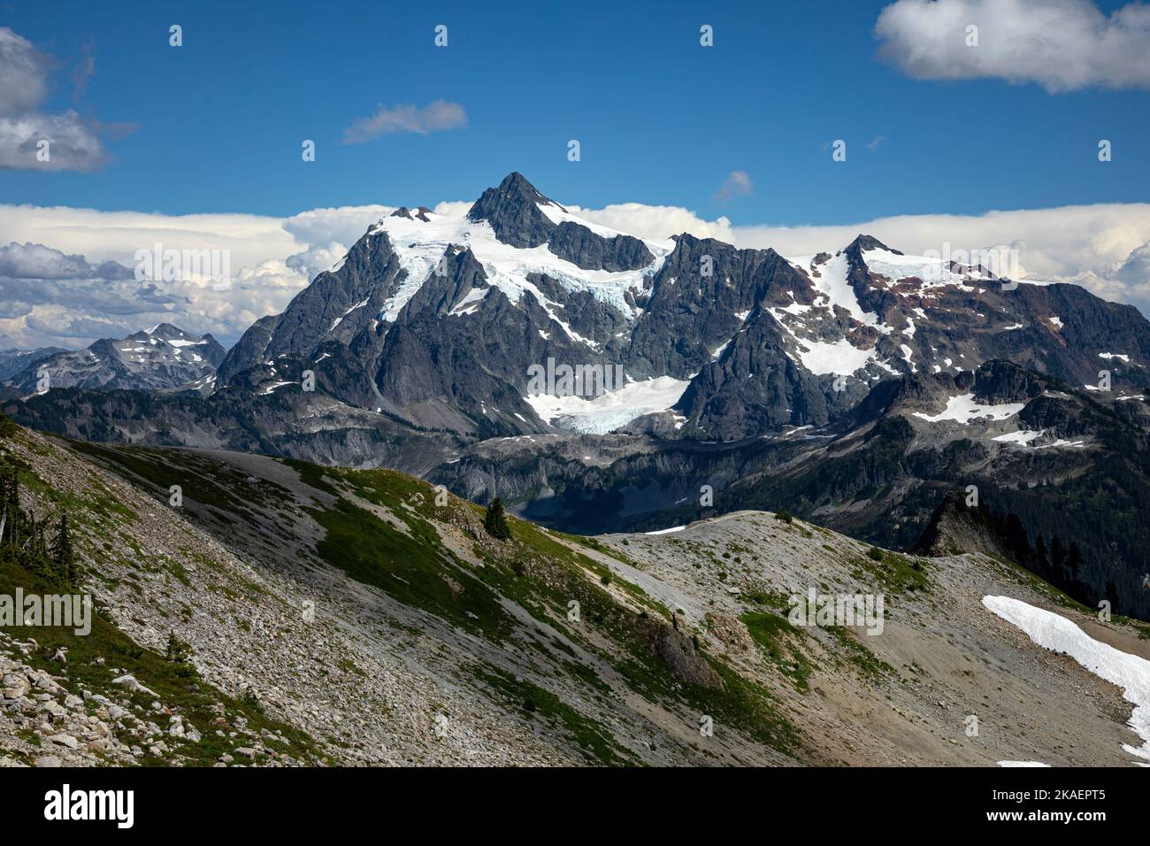 WA22687-00...WASHINGTON - Mont Shuksan vu de Ptarmigan Ridge dans la région sauvage de Mount Baker. Banque D'Images