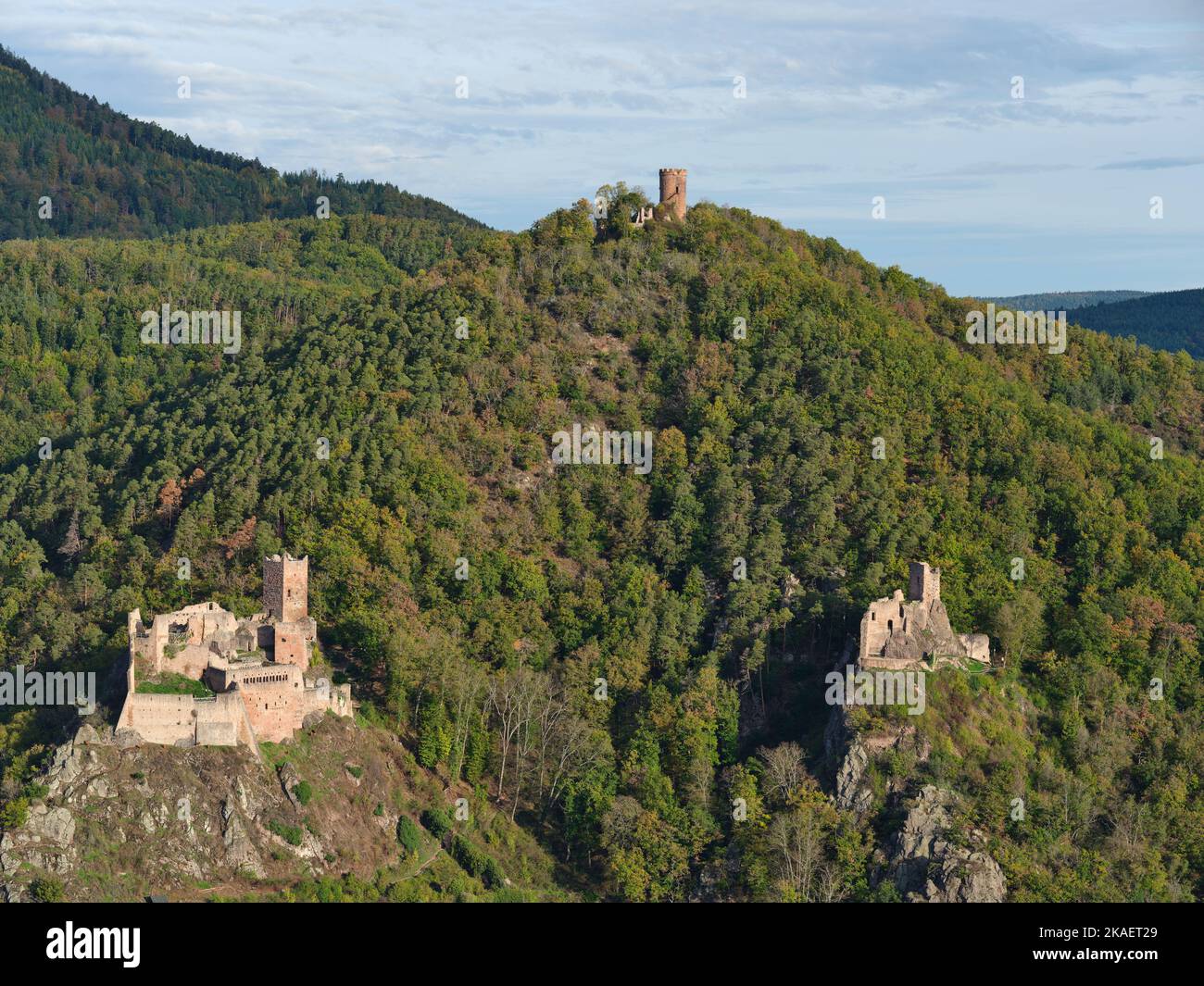 VUE AÉRIENNE. Les trois châteaux de Ribeauvillé avec (de gauche à droite) St-Ulrich, Haut-Ribeaupierre et Girsberg. Haut-Rhin, Alsace, Grand est, France. Banque D'Images