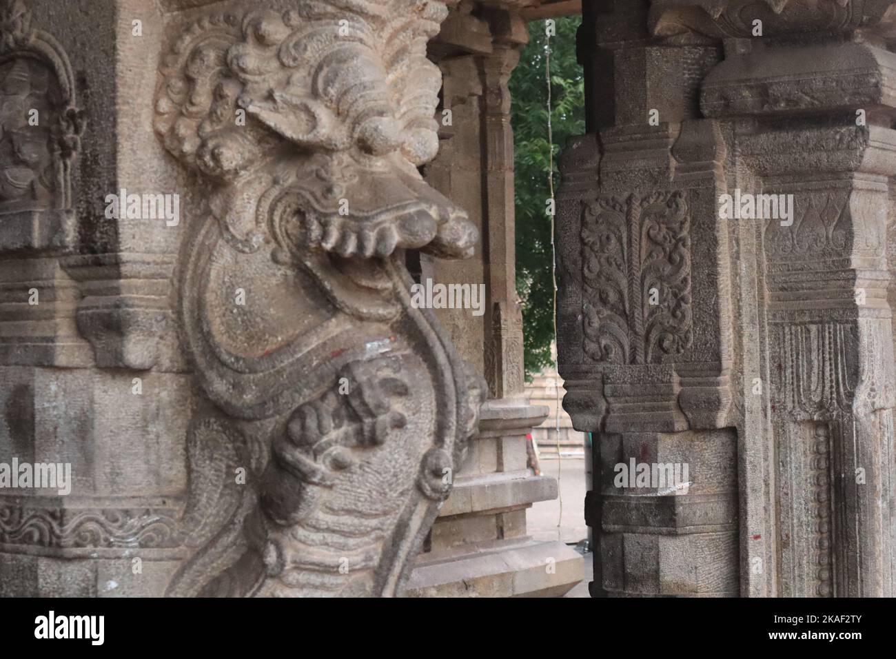 Une image Yali fantastique est sculptée sur les piliers du temple de Tanjore. Banque D'Images