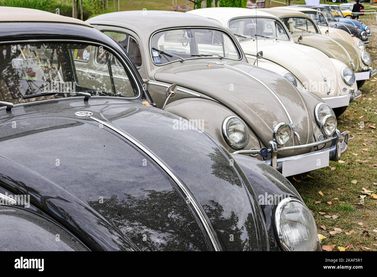 Une rangée de différents modèles de voitures VW Beetle (Kafer) lors d'une exposition dans un parc Banque D'Images