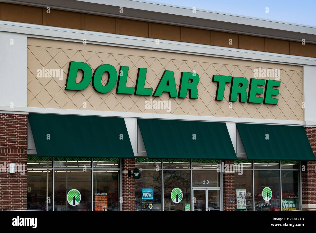 Logo arbre dollar Banque de photographies et d’images à haute