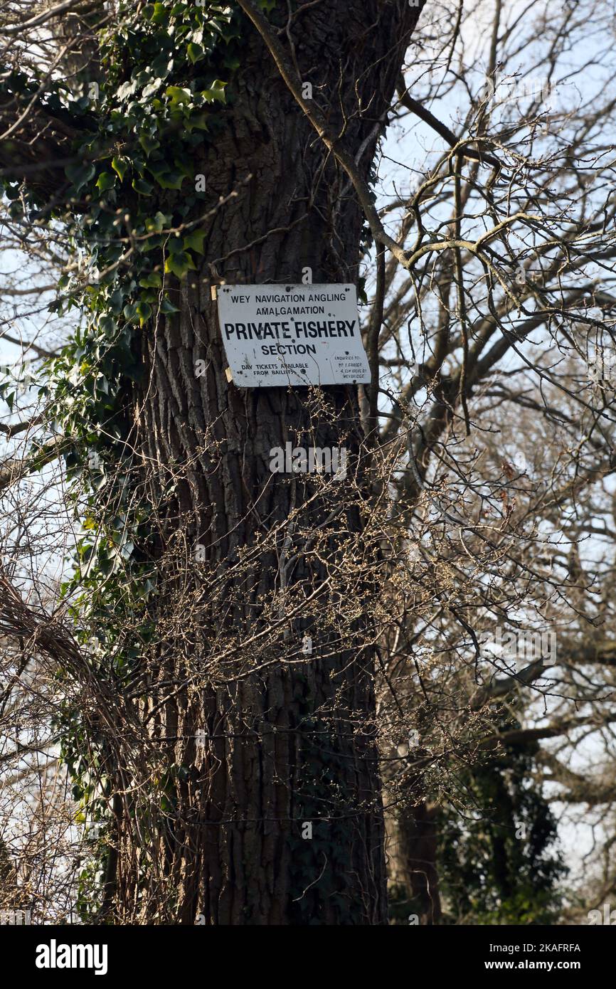 Wey navigation pêche à la ligne Fusion Section de pêche privée signer sur l'arbre près de Newark Lock River Wey navigation Surrey England Banque D'Images