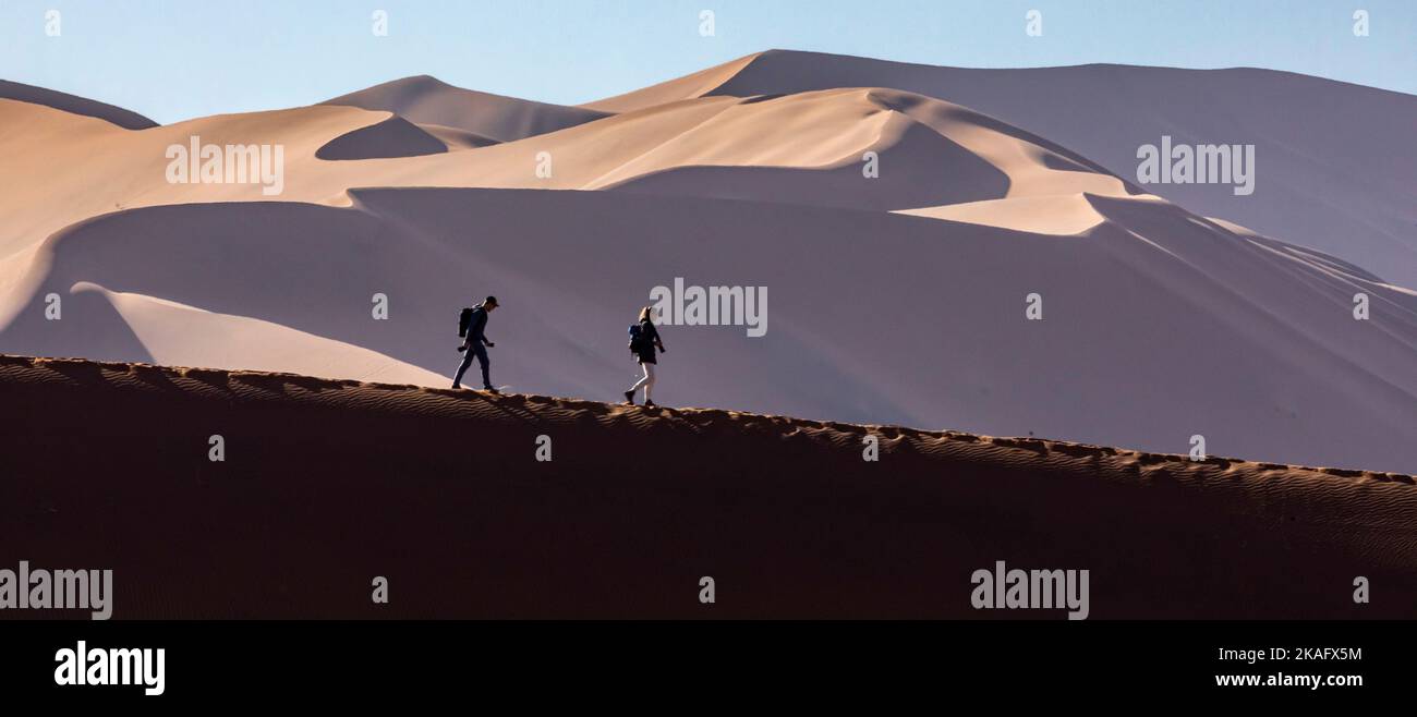 Randonneurs dans les dunes du désert du Namib, Namibie Banque D'Images