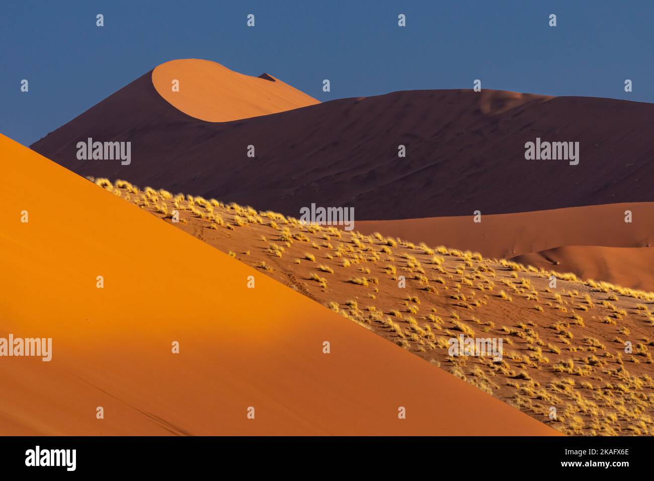 Paysage des dunes du désert du Namib, Namibie Banque D'Images