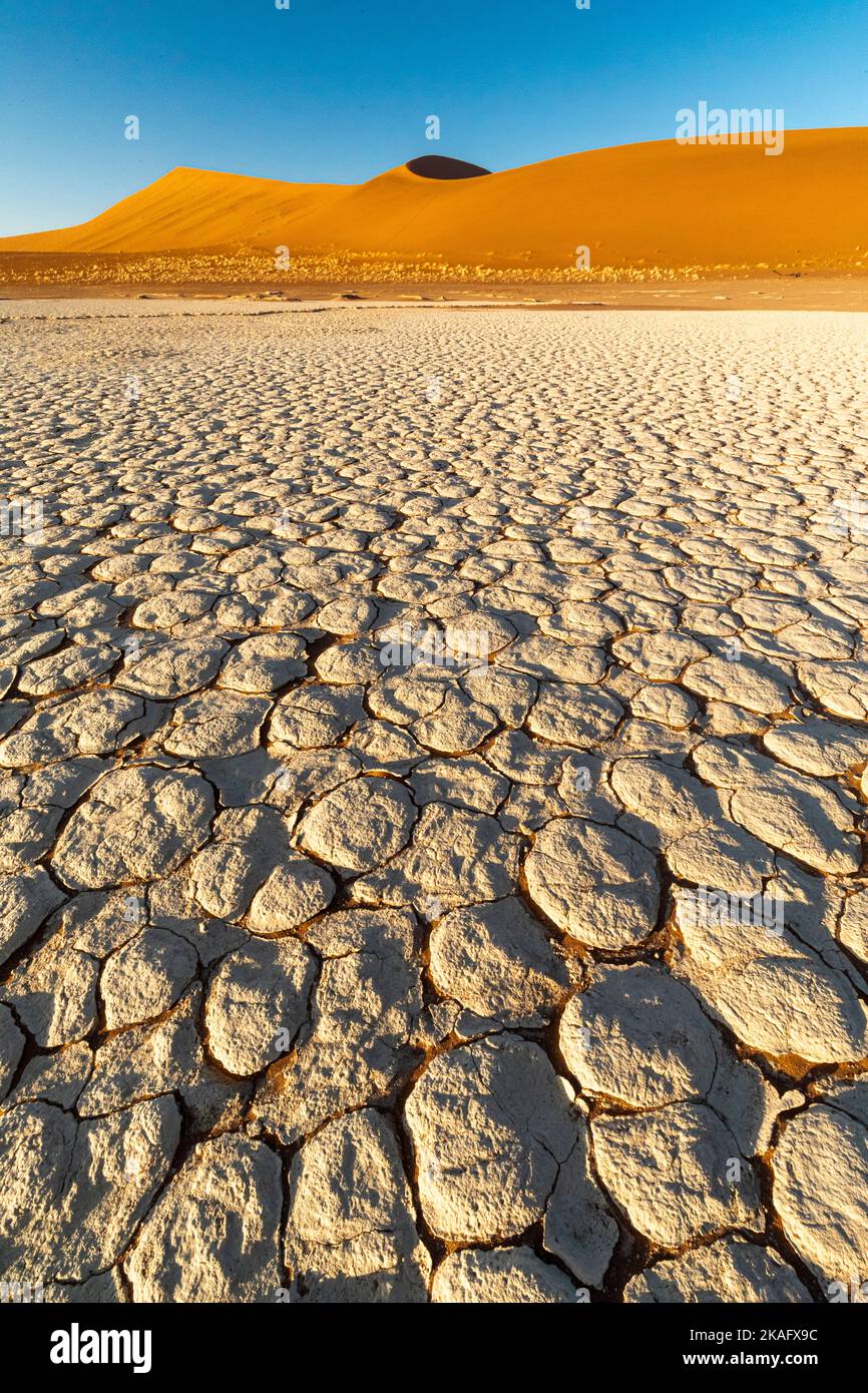 Boue sèche sur les dunes de sable, désert du Namib, Namibie Banque D'Images