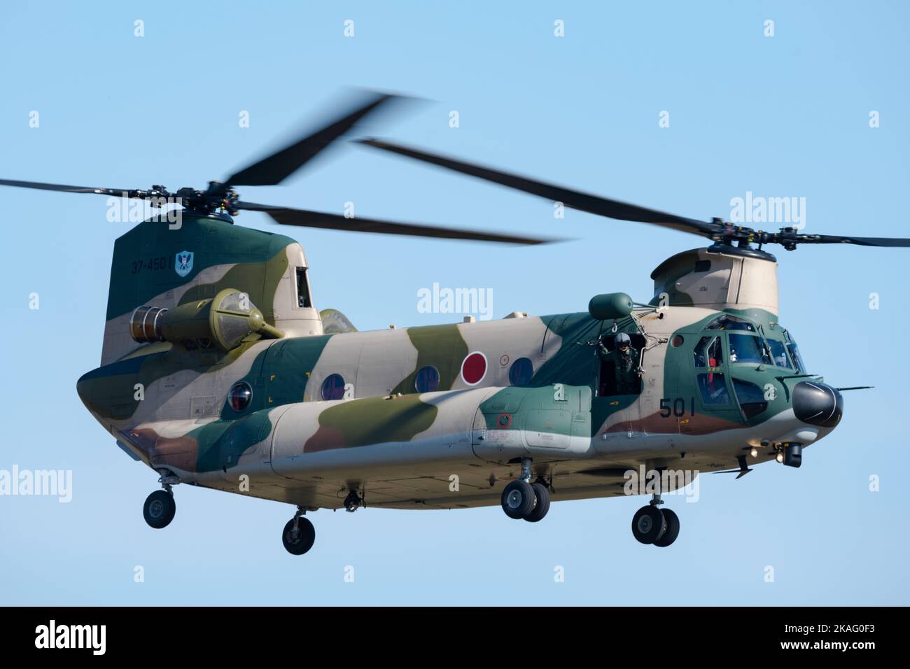 Un Chinook CH-47J de la Japan Air Self-Defense Force (JASDF) prend le départ pour effectuer une démonstration aérienne à l'appui de la Journée de l'aire de répartition à Droughon Range à Misawa, au Japon, le 28 octobre 2022. La mission principale du Chinook est le transport de troupes, d’artillerie, d’équipement et de carburant. (É.-U. Photo de la Force aérienne par Airman 1st classe William Rodriguez) Banque D'Images