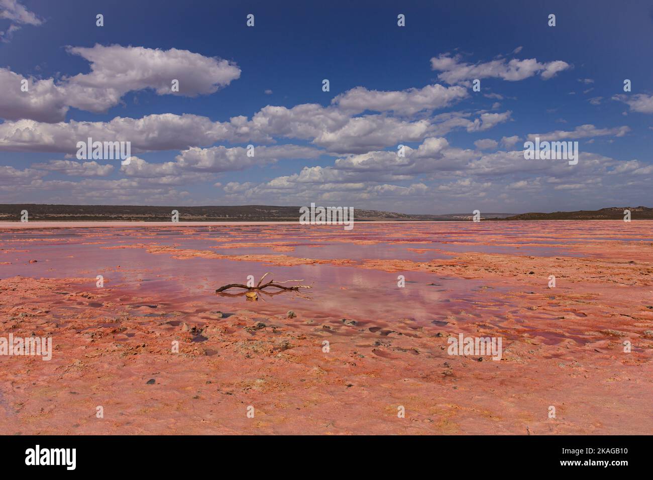 Le lac Hutt Lagoon Pink à Port Gregory, dans la région de Kalbarri, en Australie occidentale, présente une couleur rose différente lorsqu'il s'assécher. Banque D'Images