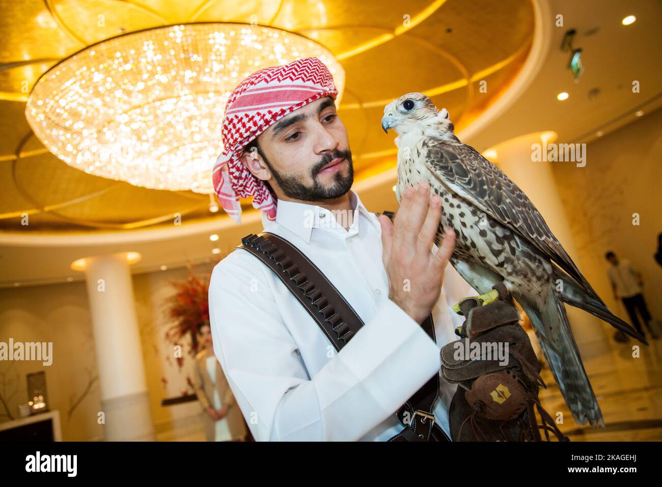 Doha, Qatar, 01 mai, 2022 : faucon arabe avec capot en cuir sur le gant de la Falconer. Banque D'Images Doha, Qatar, 01 mai, 2022 : faucon arabe avec capot en cuir sur le gant de la Falconer. Banque D'Images