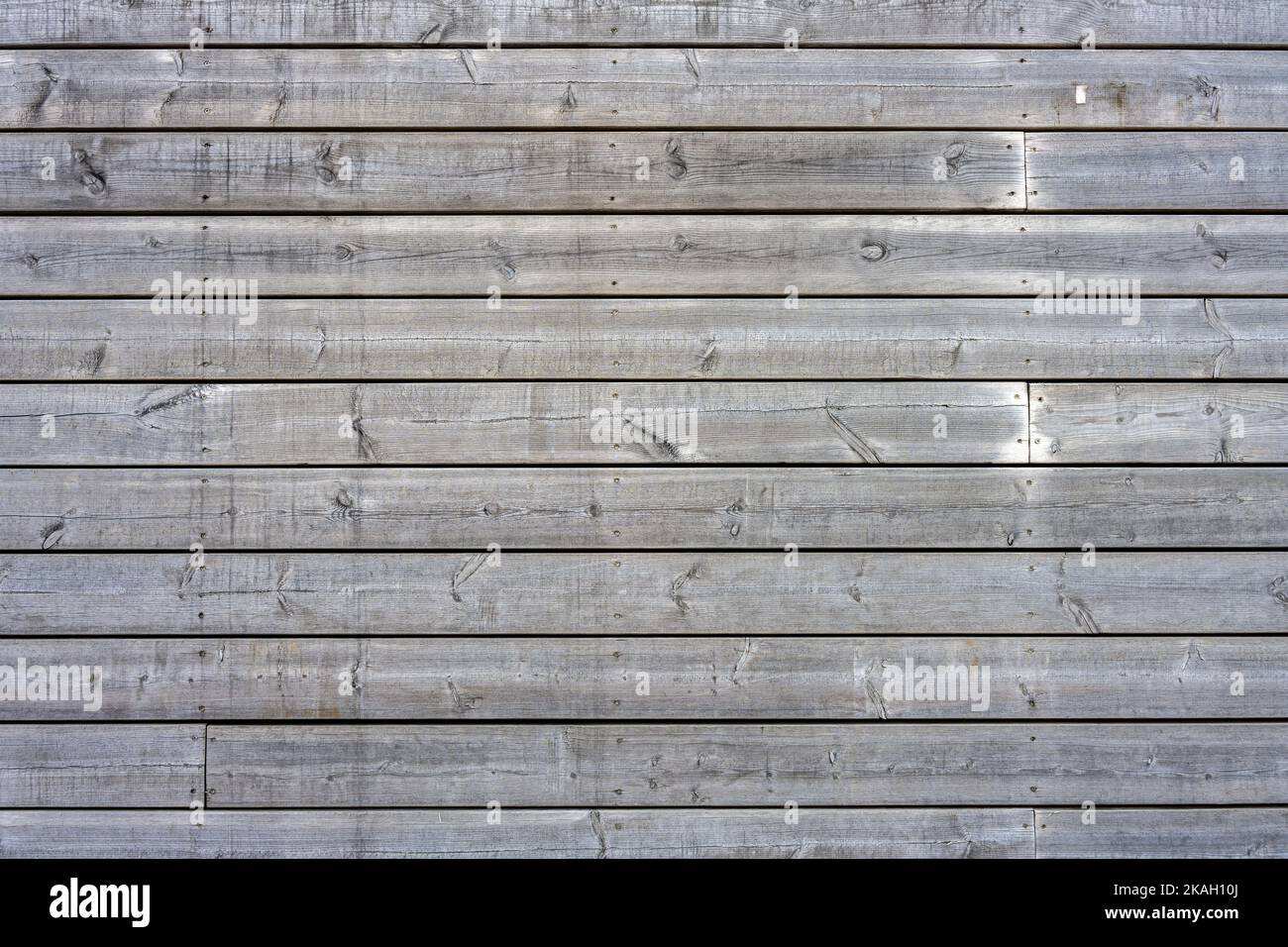 Arrière-plan d'un mur en bois gris et usé Banque D'Images