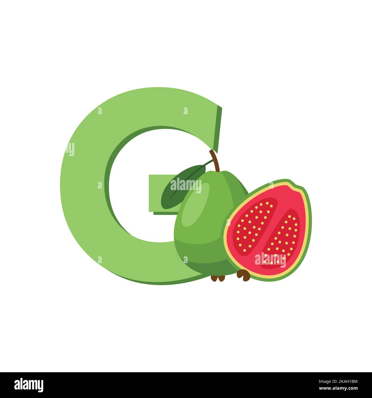 Lettre G Alphabet fruits Guava, clip Art Vector, Illustration isolée sur fond blanc Illustration de Vecteur