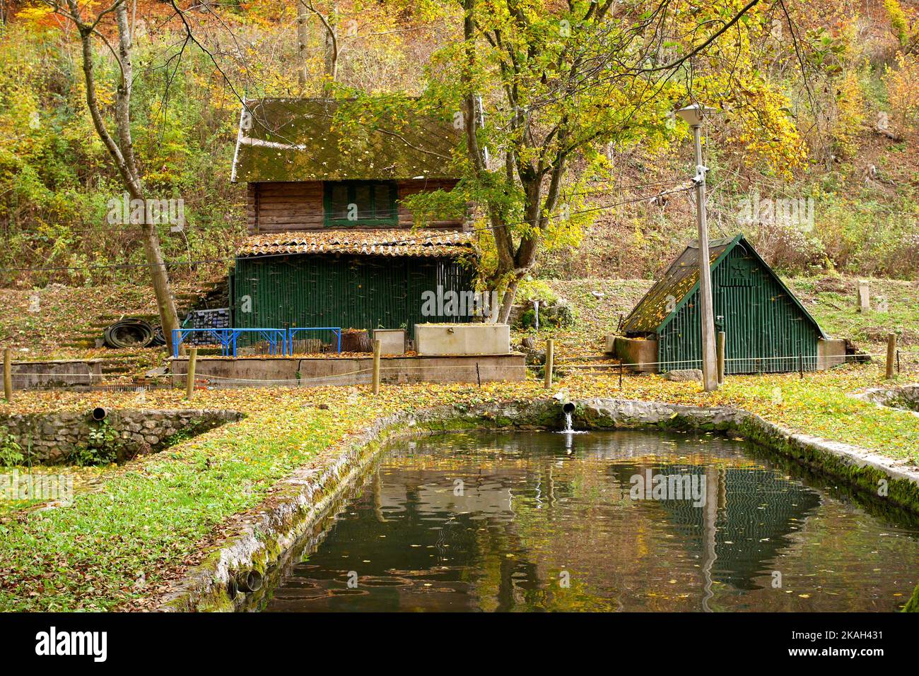 Écloserie de truites, vallée de Szalajka, parc national de Bukk, montagnes de Bukk, en automne, nord de la Hongrie Banque D'Images