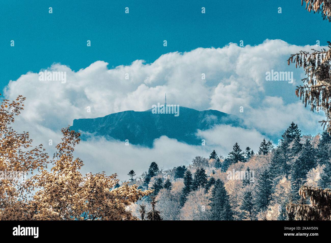 Les montagnes de la Roumanie Banque D'Images