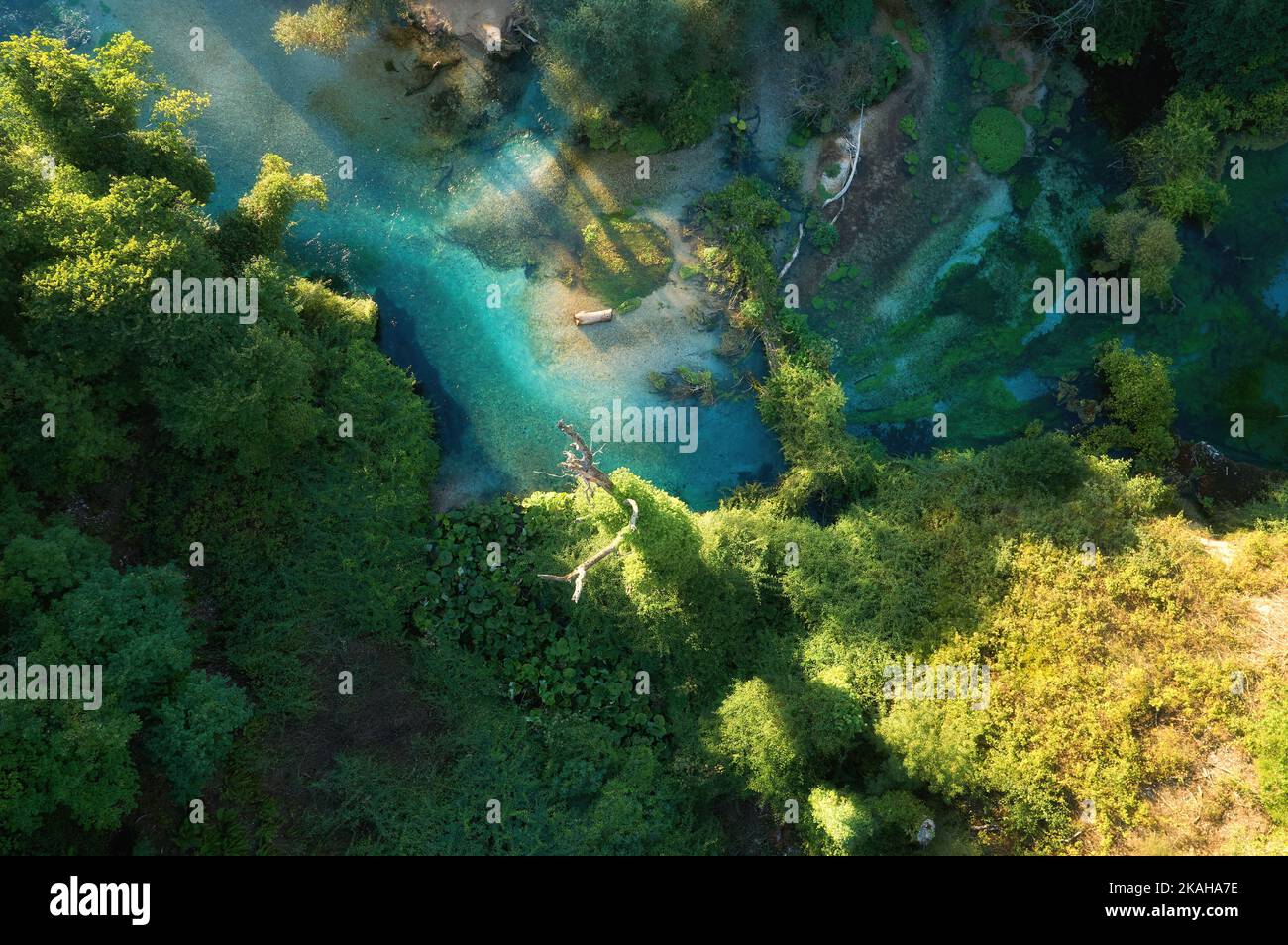 Eau claire, bleu-vert d'un ruisseau de montagne en chêne et sycomore forêt, vue panoramique de la nature pure authentique, vue aérienne, perpendiculaire. Albanie. Banque D'Images