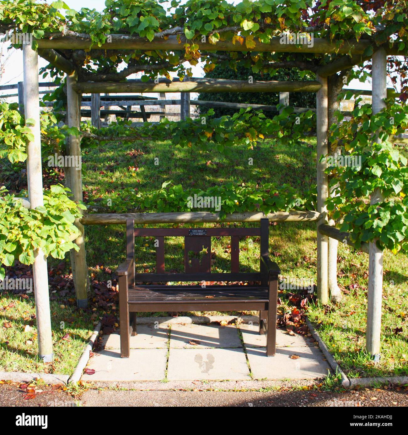 bois de ferme et église Banque D'Images