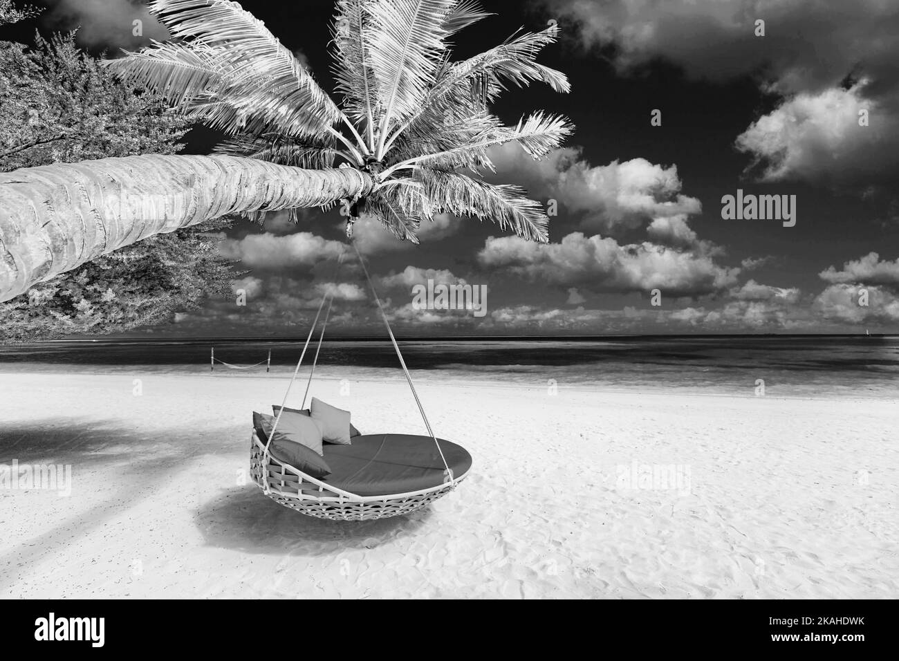 Panorama de plage tropicale noir et blanc comme paysage d'été avec balançoire de plage ou hamac et sable blanc et mer sombre pour bannière de plage. Plage de luxe Banque D'Images