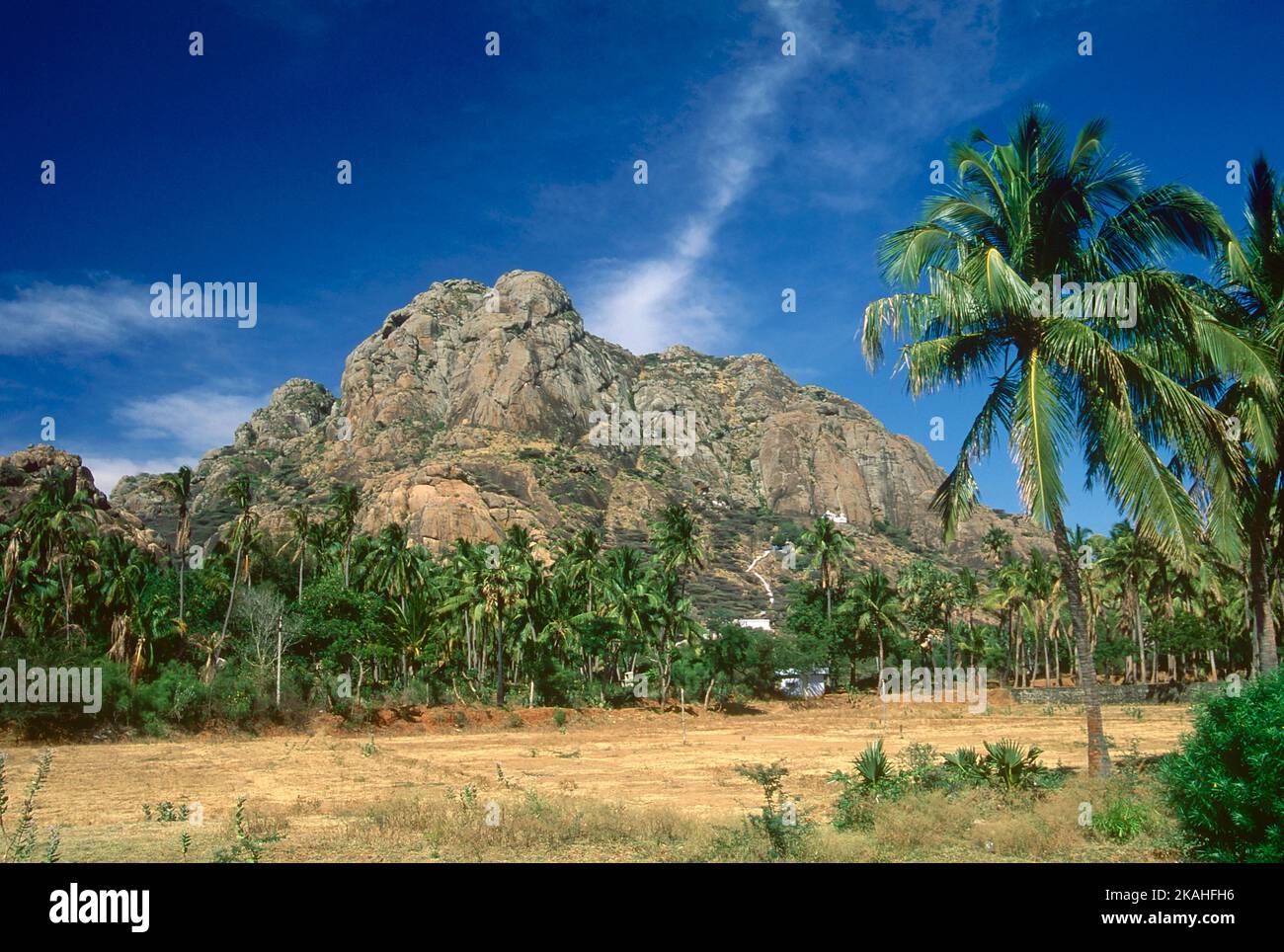 Les collines de Maruthvamalla sont situées dans le district de Kanniyakumari dans les collines est une grotte dans laquelle Shree Narayana Guru a été éclairé Banque D'Images