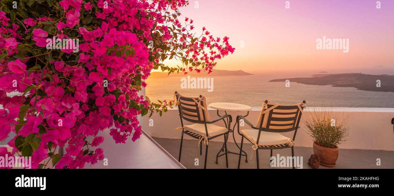 Été coucher de soleil vacances pittoresque de luxe célèbre destination Europe. Architecture blanche à Santorin, Grèce. Paysage de voyage époustouflant avec des fleurs roses Banque D'Images