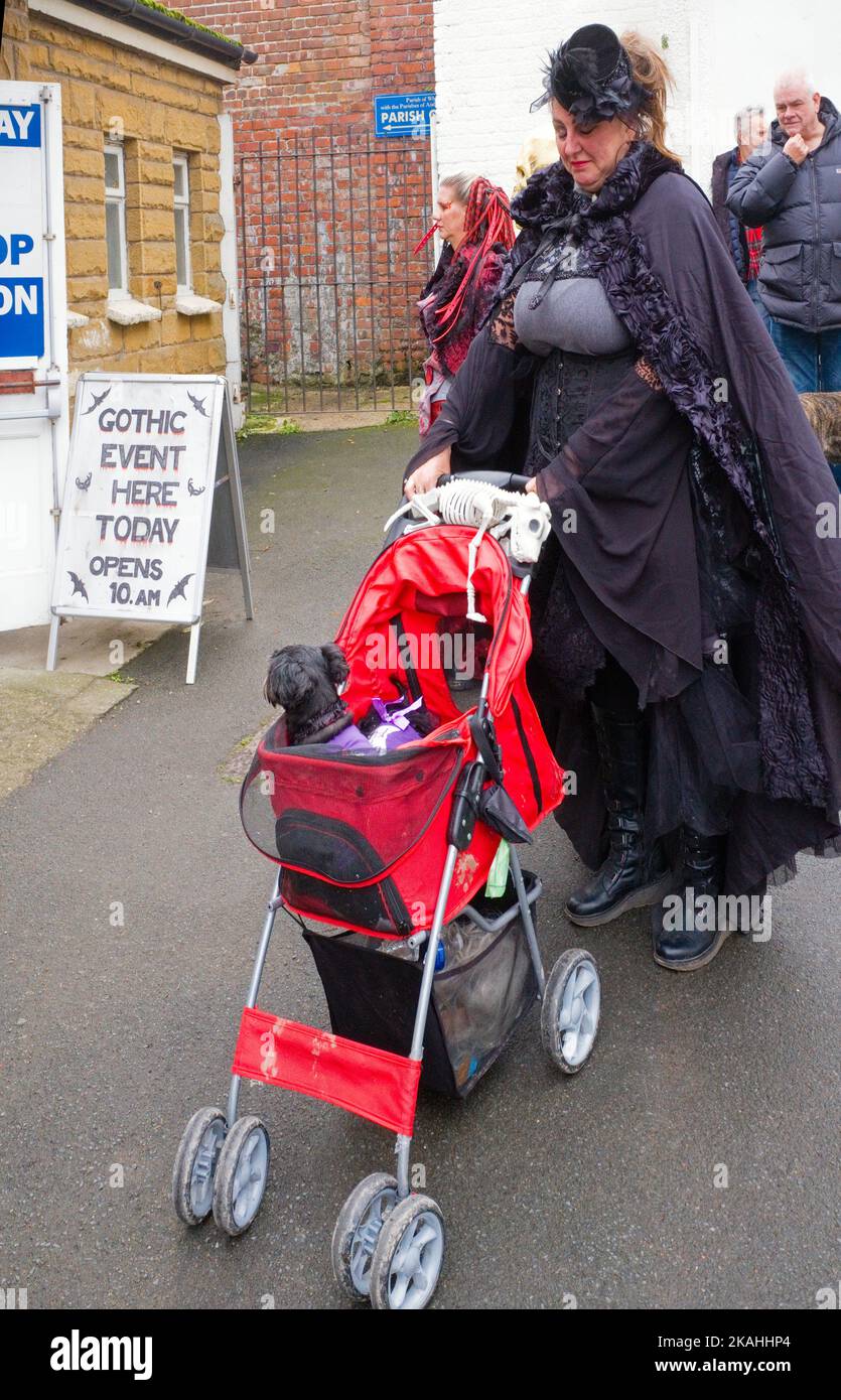 Goth femme habillée avec de petits chiens dans une poussette à chien au week-end annuel de goth de Whitby Banque D'Images