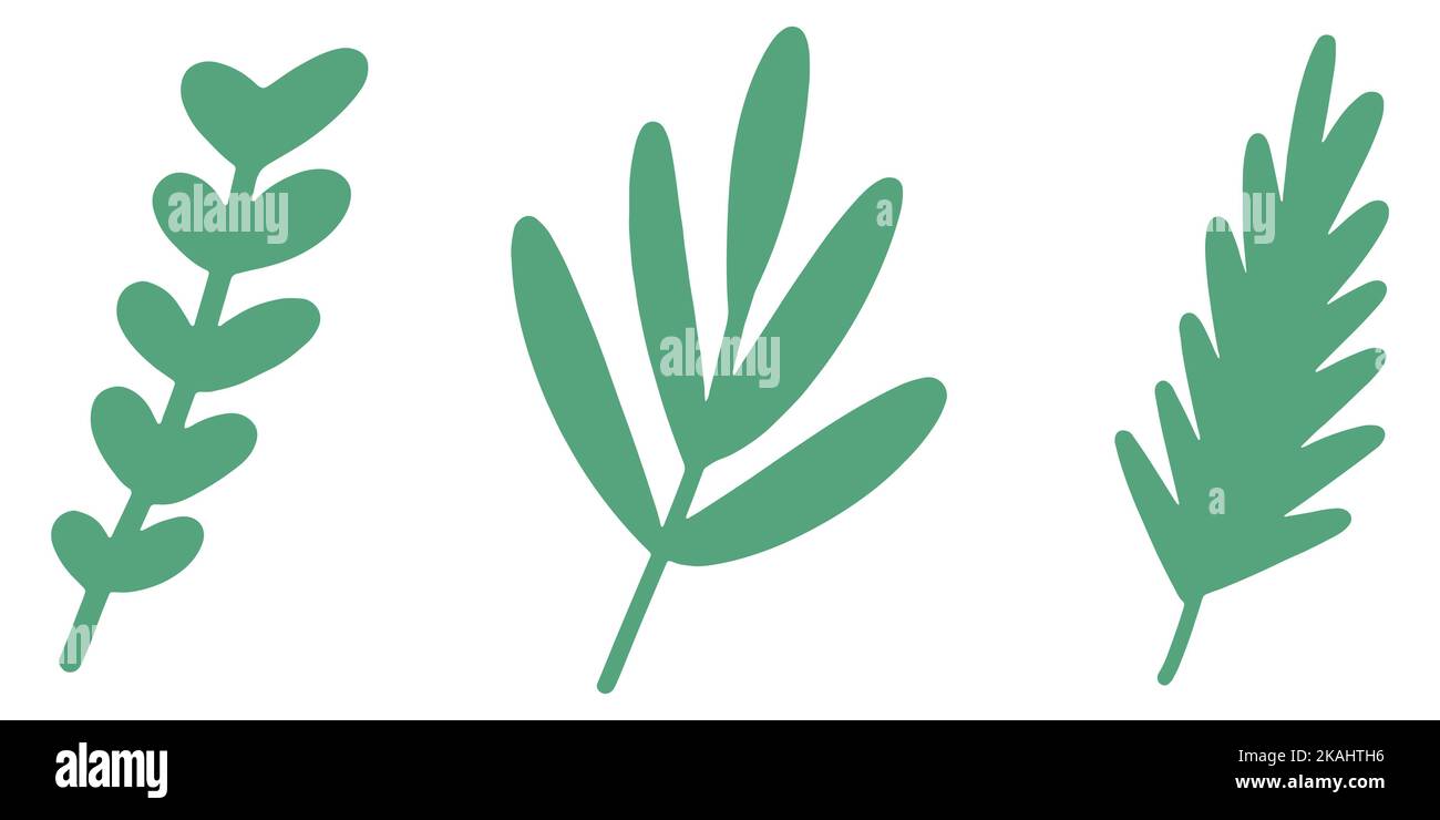 Ensemble de plantes de Noël. Branches colorées avec feuilles. Ensemble de branches. Éléments décoratifs mignons. Illustration vectorielle. Illustration de Vecteur