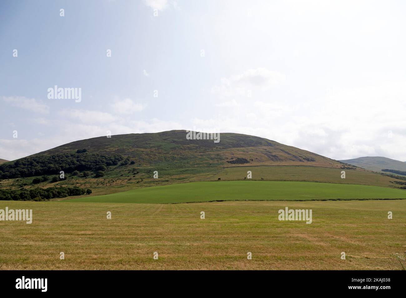 Yeakering Bell près de Wooler, Northumberland. La colline était le site du plus grand fort de la colline de l'âge de fer dans le nord de l'Angleterre. Banque D'Images