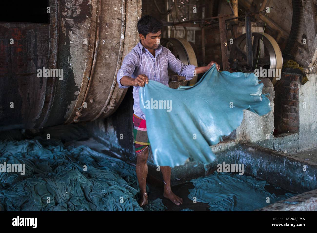 Les travailleurs traitent les peaux d'animaux dans une usine de cuir à Hazaribagh, Dhaka, sur 1 février 2016. Les tanneries de la région de Hazaribagh déchargent 30000 mètres carrés de déchets liquides tous les jours. Les tanneries déchargent les effluents dans le système fluvial, ce qui provoque une grande zone de boues acides. L'industrie du cuir du Bangladesh a gagné 980,67 millions de dollars US des exportations de cuir et de produits en cuir au cours de l'exercice 2012/2013, selon le Bureau de promotion des exportations du Bangladesh. (Photo de Zakir Hossain Chowdhury/NurPhoto) *** Veuillez utiliser le crédit du champ de crédit *** Banque D'Images