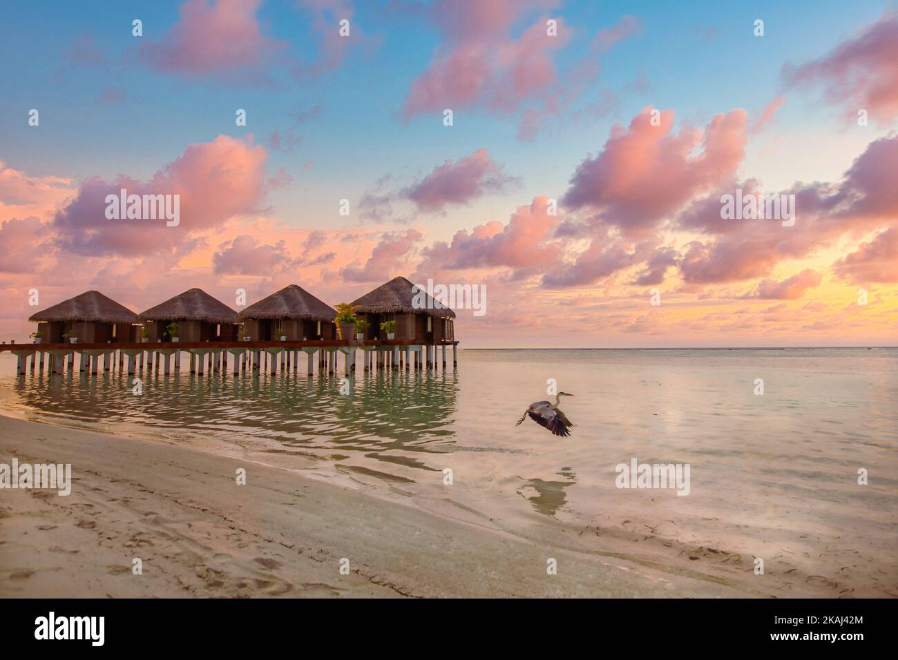Magnifique coucher de soleil coloré avec nuages horizon en bord de mer. Villas sur l'eau aux Maldives avec la faune au lever du soleil. Paysage de voyage de rêve, fantastique Banque D'Images