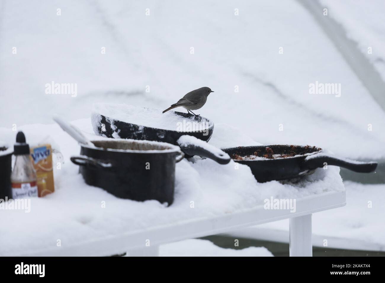 Neige, vent et températures inférieures à -10 °C dans le camp de réfugiés de Vagiohori. Ce camp a des réfugiés vivant dans des tentes faites pour les conditions d'été. Il n'y a pas d'électricité, de chaleur ou même de lits à l'intérieur des tentes. Le gouvernement soutenu par le HCR a décidé de déplacer les réfugiés dans un hôtel pendant 14 jours, mais certains d'entre eux ont laissé derrière eux car ils ne font pas confiance à la volonté du gouvernement. Ils croient qu'ils seront expulsés. (Photo de Nicolas Economou/NurPhoto) *** Veuillez utiliser le crédit du champ de crédit *** Banque D'Images