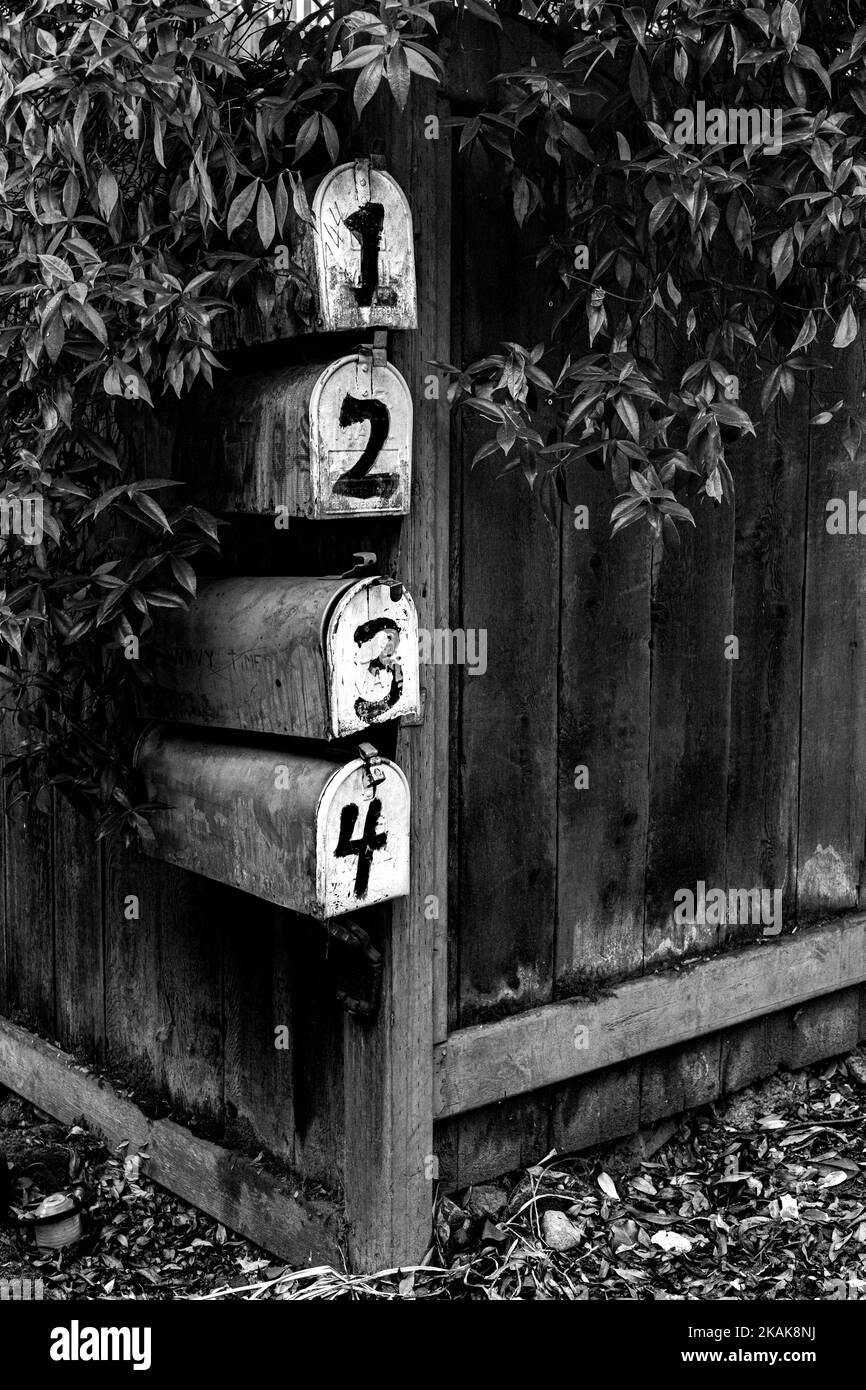 Échelle de gris de boîtes aux lettres numérotées sur une clôture surdéveloppée Banque D'Images