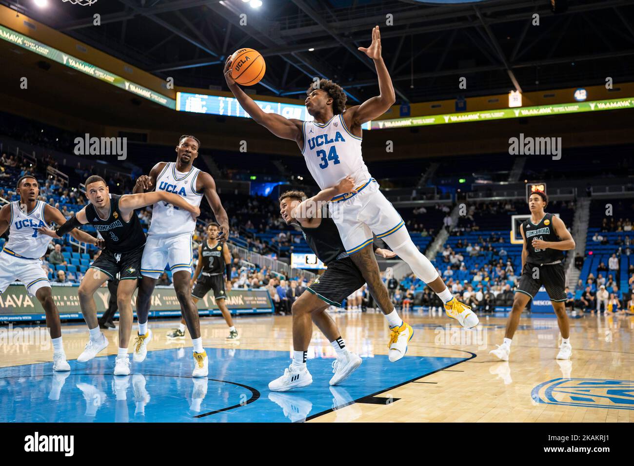 Le garde de l’UCLA Bruins David Singleton (34) obtient un rebond et est fouillé par la garde des aigles d’or de Concordia Kobe Sanders (1) lors d’une exposition masculine de la NCAA b Banque D'Images