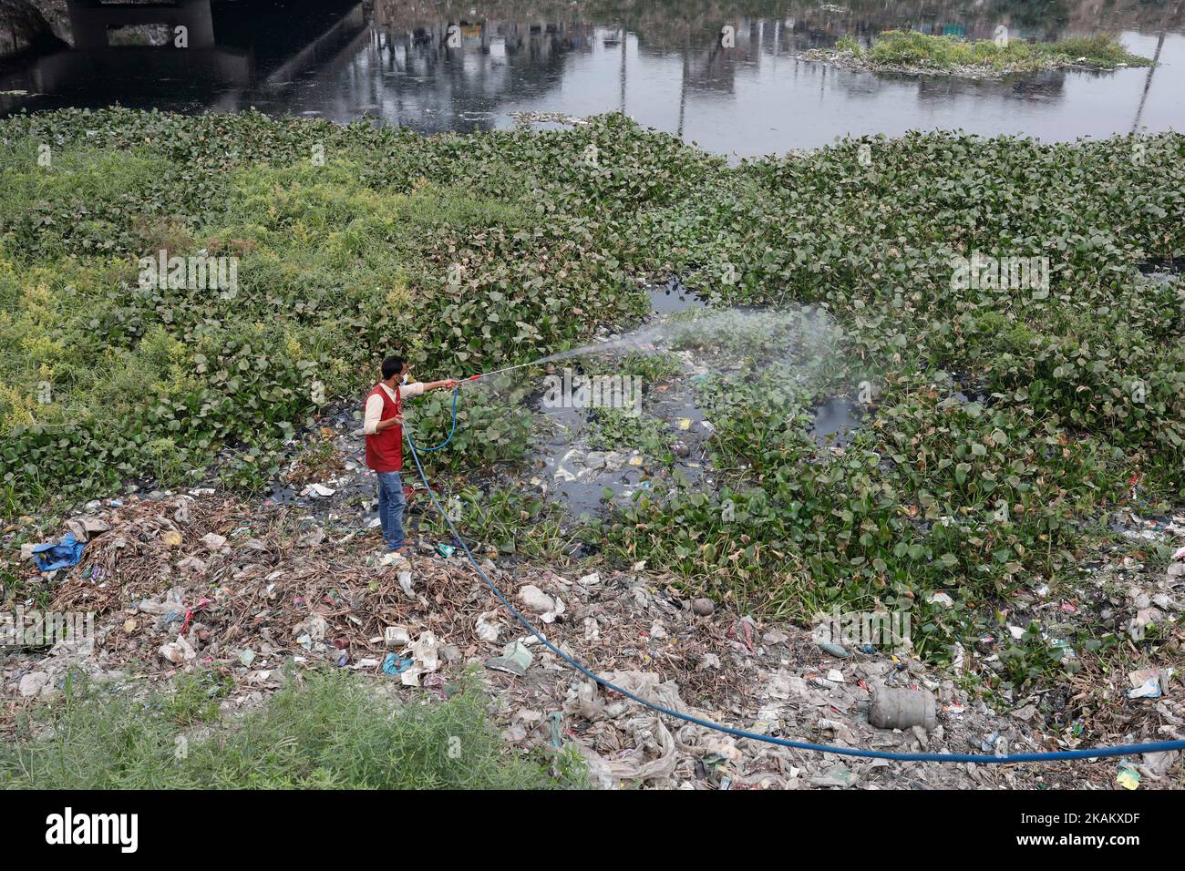 Dhaka, Bangladesh. 3rd novembre 2022. Un agent d'une corporation municipale pulvérise du larvicide pour tuer des larves d'aedes sur un canal de la rivière Buriganga près d'un pont de fer à Kamrangirchar à Dhaka, au Bangladesh. La situation de la dengue est la pire des dernières années au Bangladesh. (Image de crédit : © M. Rakibul Hasan/ZUMA Press Wire) Banque D'Images