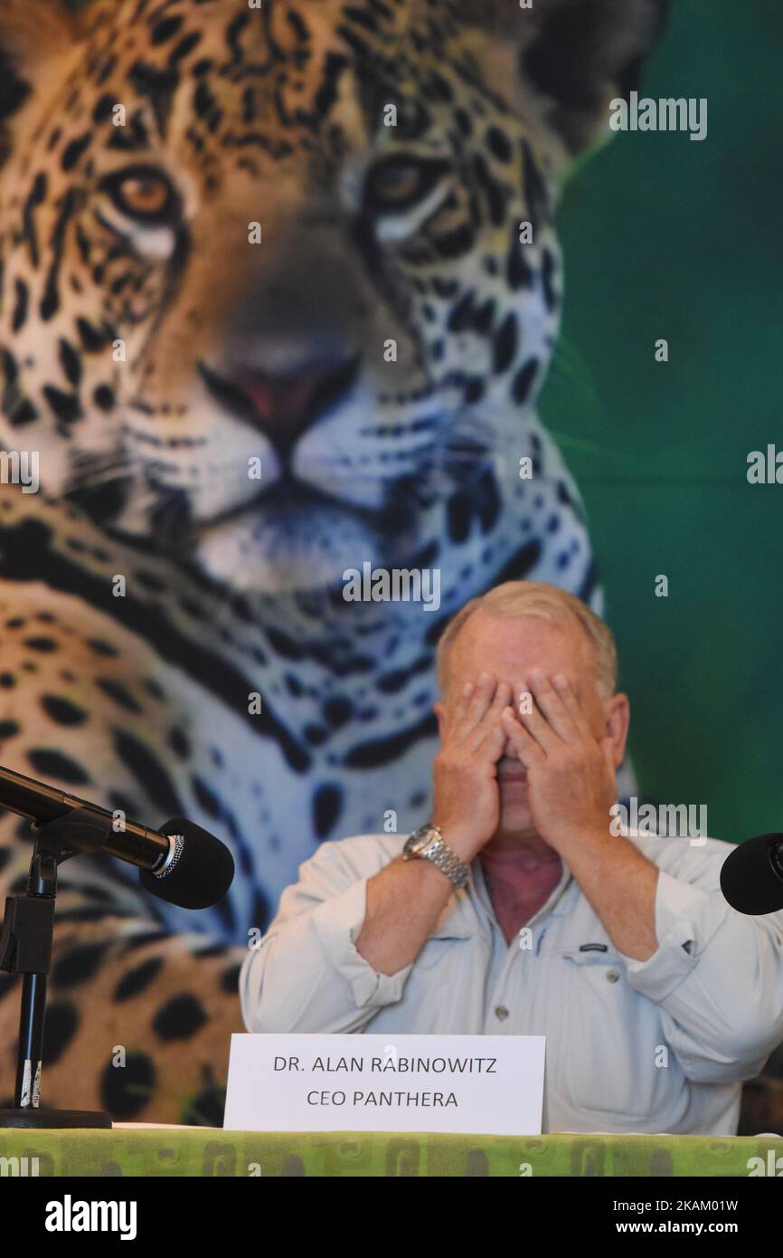 Alan Rabinowitz, le PDG de Panthera, une organisation de conservation à ...