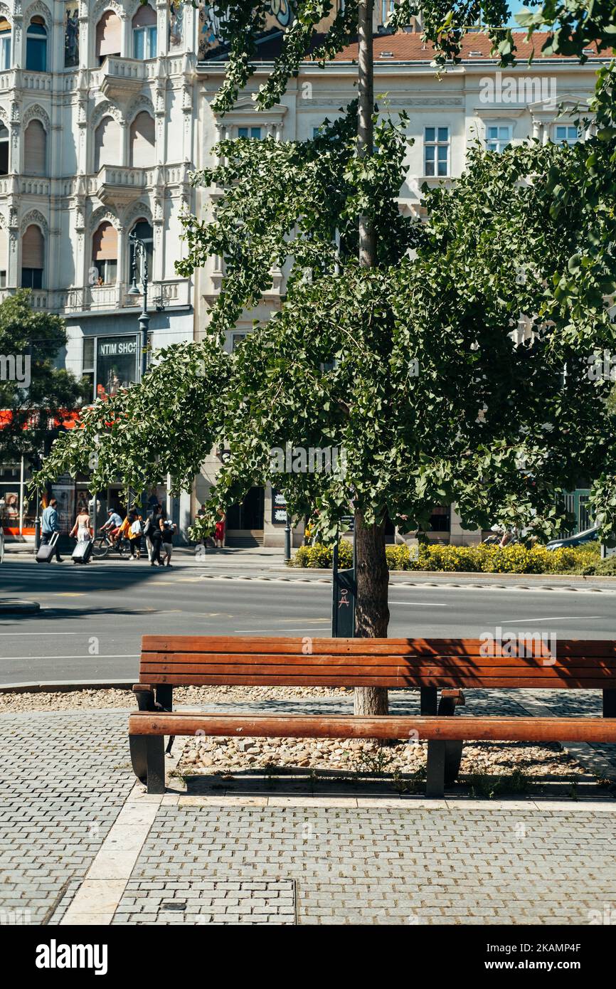 Hongrie, Budapest. 15 JUIN 2022. Vue verticale d'un banc en bois des rues de la ville de Budapest, un jour d'été. Banque D'Images