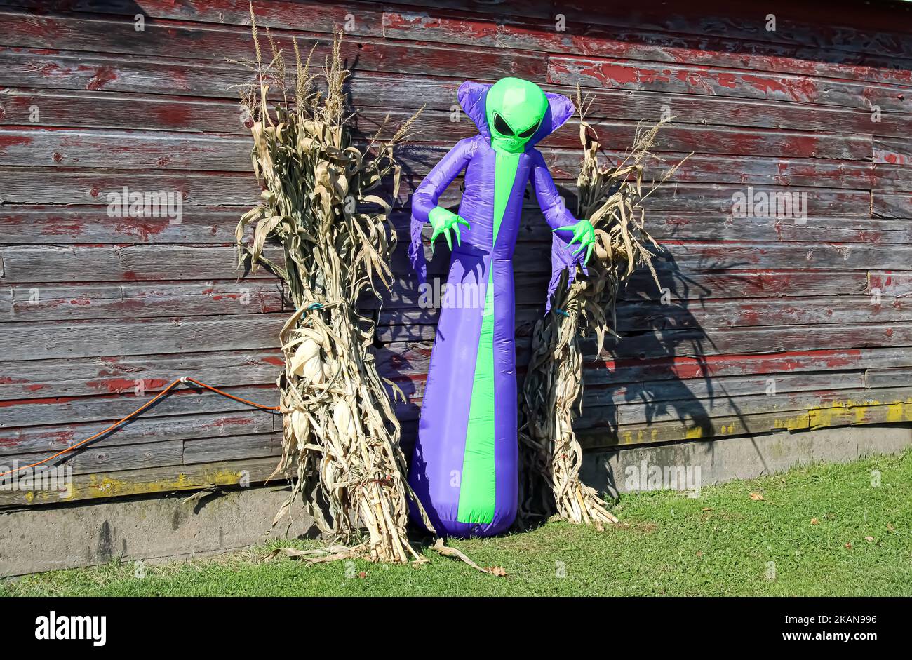 Une décoration d'Halloween extraterrestre gonflable violet et vert à l'extérieur d'une grange pour effrayer les enfants Banque D'Images