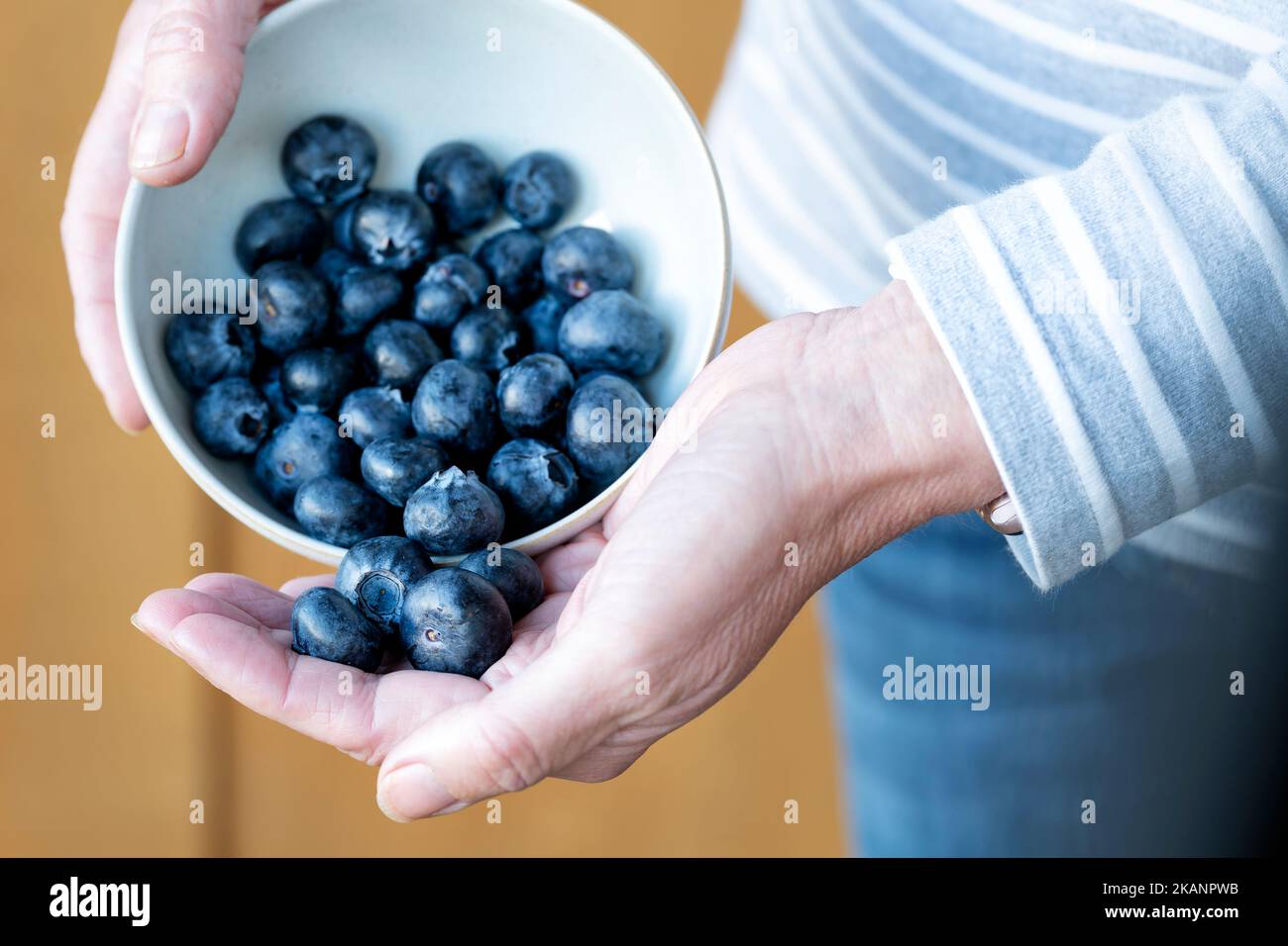 Une femme portant une portion quotidienne recommandée de bleuets. La mesure de la portion est de 150g ou une tasse. Les antioxydants sains sont riches en vitamines Banque D'Images Une femme portant une portion quotidienne recommandée de bleuets. La mesure de la portion est de 150g ou une tasse. Les antioxydants sains sont riches en vitamines Banque D'Images