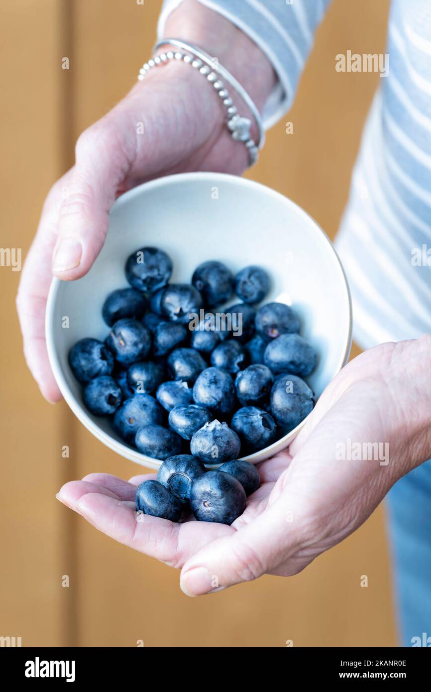 Une femme portant une portion quotidienne recommandée de bleuets. La mesure de la portion est de 150g ou une tasse. Les antioxydants sains sont riches en vitamines Banque D'Images Une femme portant une portion quotidienne recommandée de bleuets. La mesure de la portion est de 150g ou une tasse. Les antioxydants sains sont riches en vitamines Banque D'Images