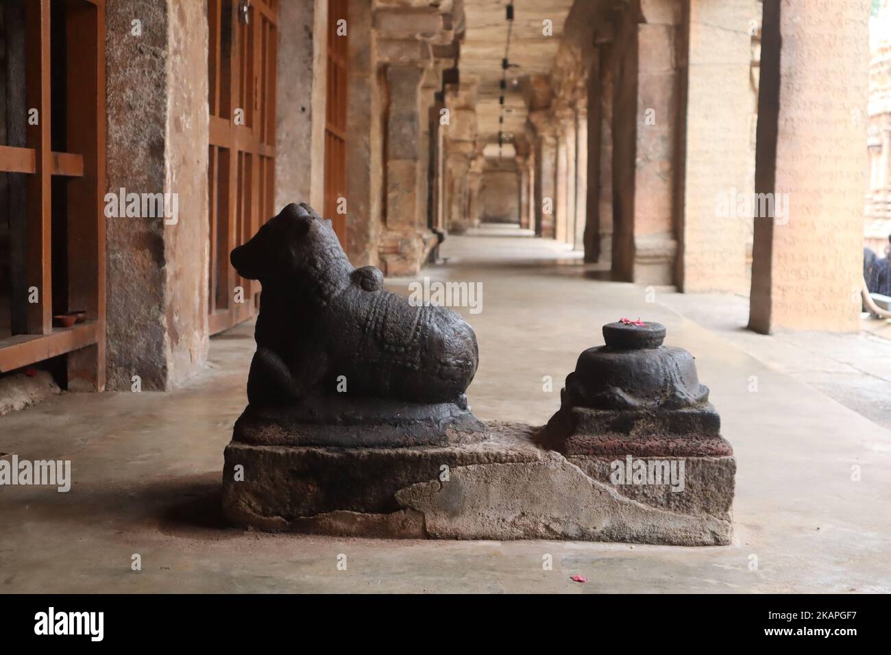 Statue noire de Nandi dans le temple de Tanjore Brihadeeswarar. Banque D'Images