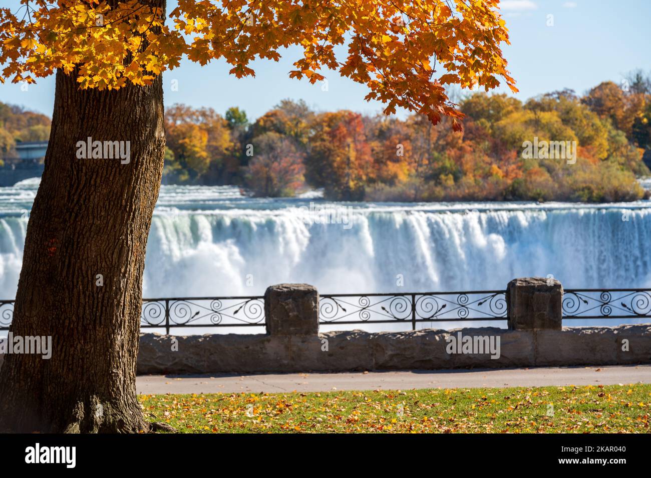 Niagara Falls City Fallsview Trail. Feuille d'érable rouge pendant le feuillage d'automne. American Falls en arrière-plan. Ontario, Canada. Banque D'Images