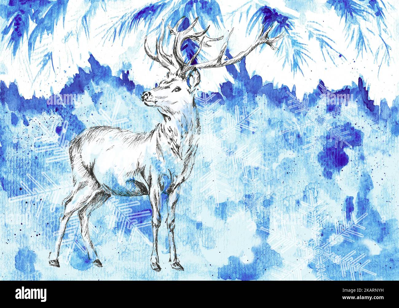 Dessin au crayon (à l'encre) d'un cerf rouge (Cervus elaphus) sur fond d'arbre de Noël recouvert de neige, dans des teintes bleues. Illustration dessinée à la main Banque D'Images