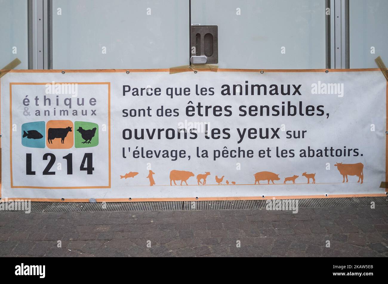 L'activiste prend part à une manifestation organisée par l'association L214 pour l'abolition des abattoirs à Paris sur 10 juin 2017. (Photo de Julien Mattia/NurPhoto) Banque D'Images