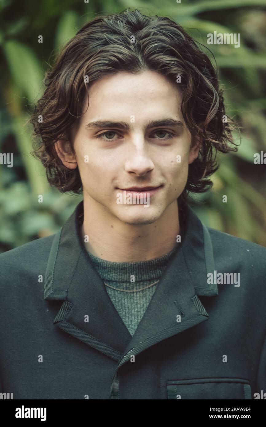 L'acteur Timothée Chalamet assiste à la photocall 'Chiamami Col Tuo Nome (appelez-moi par votre nom)' à l'hôtel de Russie sur 24 janvier 2018 à Rome, Italie. (Photo par Luca Carlino/NurPhoto) Banque D'Images