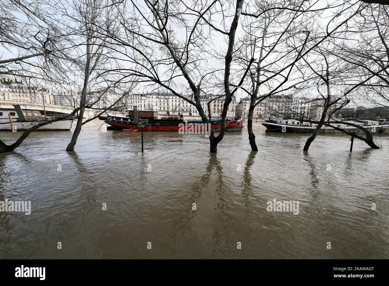 Une rive inondée de la Seine sur 26 janvier 2018, comme la Seine, Qui traverse Paris, la
