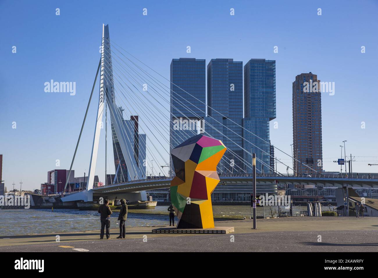Erasmusbrug ou le pont Erasmus à Rotterdam, pays-Bas, le 25 février 2018. Le célèbre pont de câble porte le nom de Desiderius Erasmus, originaire de Rotterdam. Le pont a un surnom, appelé 'The Swan'. Il a été construit en 1996 pour un coût de 165 millions d'euros. La longueur totale du pont est de 802 mètres et 139m de haut. C'est le pont de bascule qui est le plus grand et le plus lourd de l'Europe occidentale. Aujourd'hui est un point de repère pour Rotterdam, pays-Bas et Europe, accueillant de nombreux événements et vu dans de nombreux films. (Photo de Nicolas Economou/NurPhoto) Banque D'Images