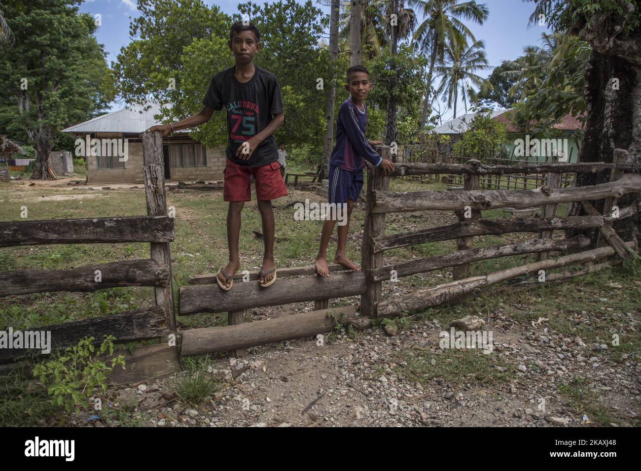 Conditions de vie dans le district de Kupang, à l'est de Nusa Tenggara, en Indonésie sur le 16 avril 2018 qui est encore sous-développé, pas d'électricité, de dommages de la route de bruyère, de malnutrition, problème d'eau propre, et faible revenu économique. Selon la statistique indonésienne Beaulau en 2015, la région de Nusa Tenggara est l'une des plus sous-développées d'Indonésie, classée no 3 comme la région la plus pauvre d'Indonésie. (Photo par Donal Husni/NurPhoto) Banque D'Images